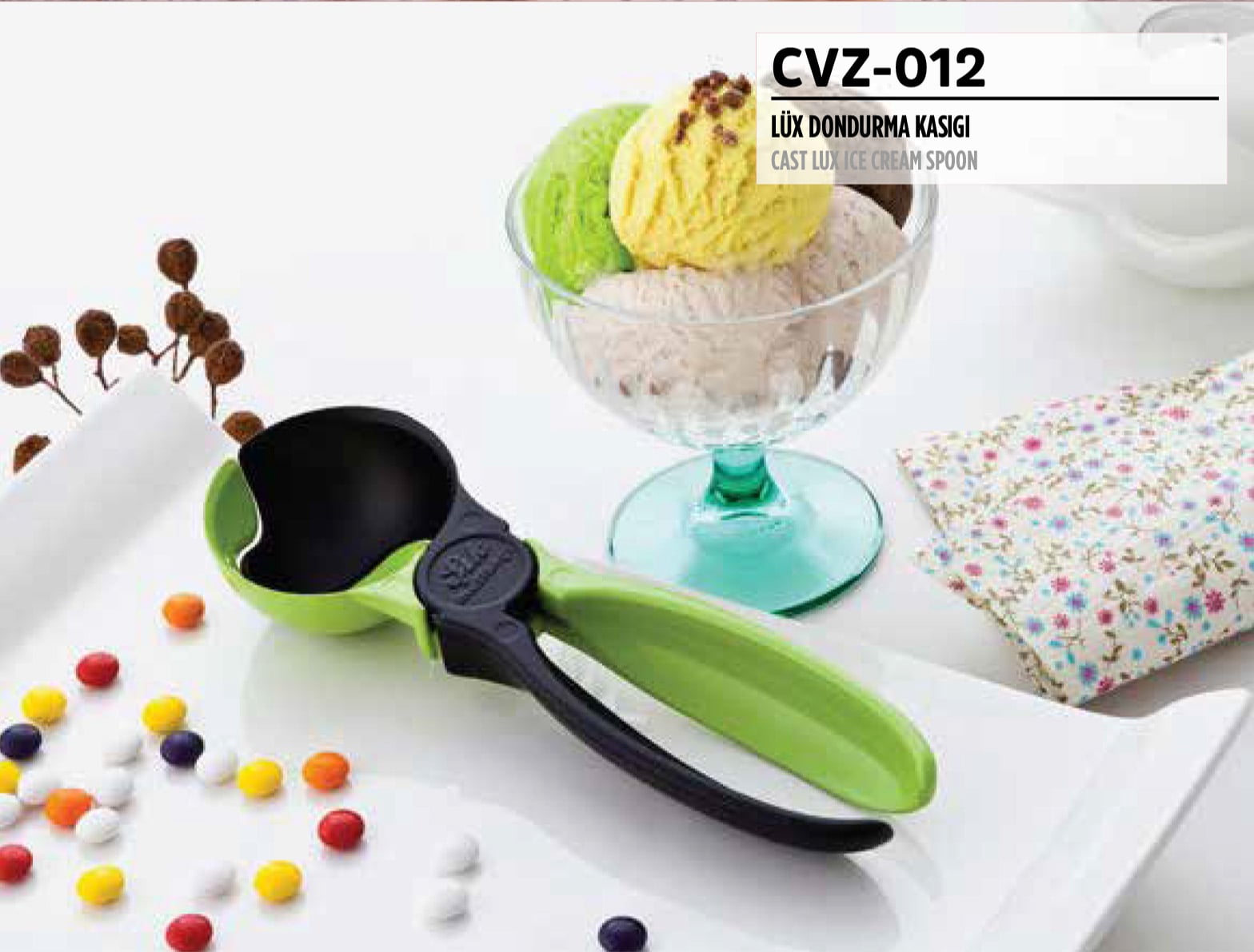 RSS-203 ÇEVİZ KIRACAĞI