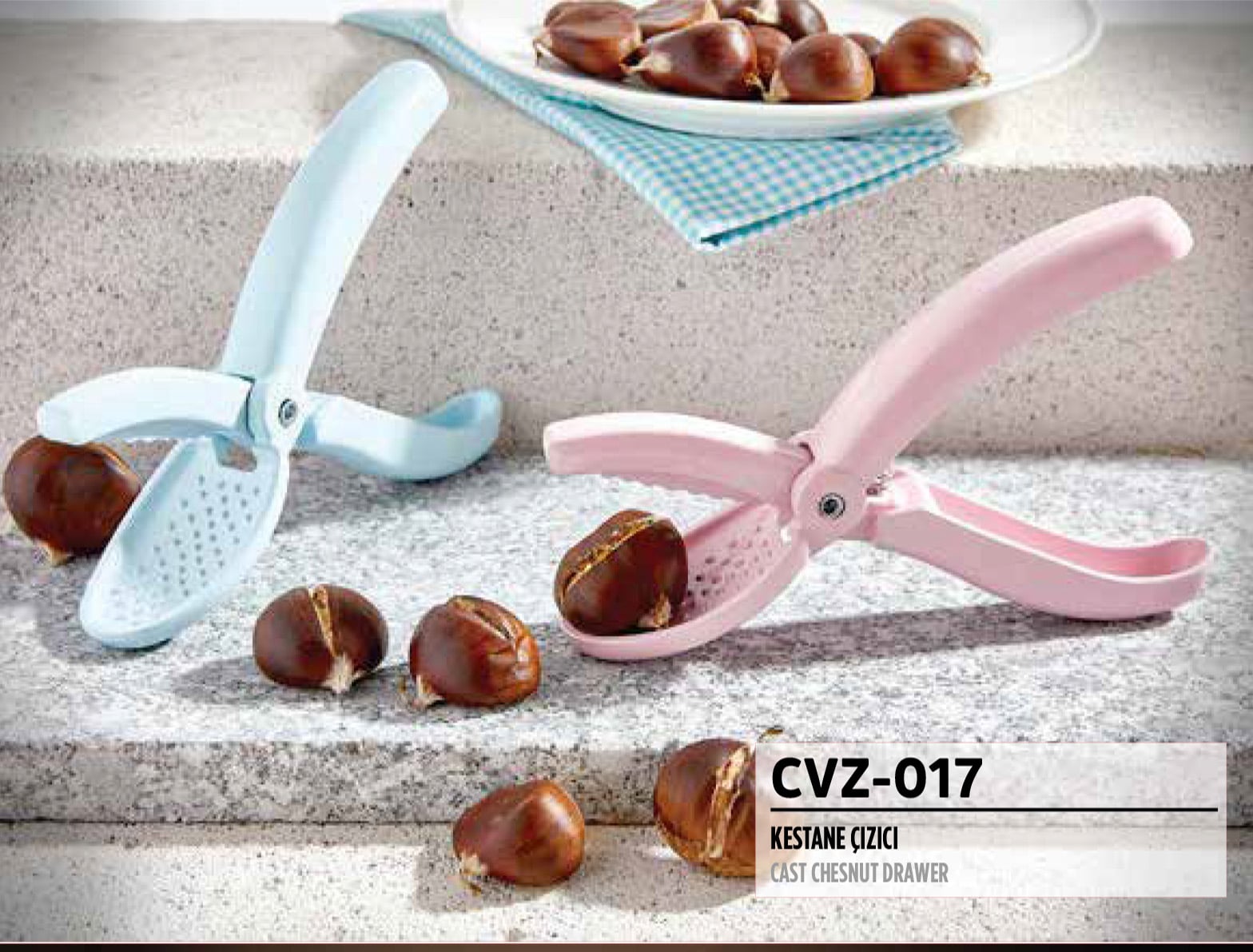 RSS-203 ÇEVİZ KIRACAĞI